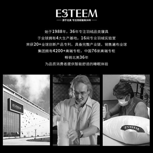 赛薇亚拉意大利进口埃及长绒棉四件套 商品图4