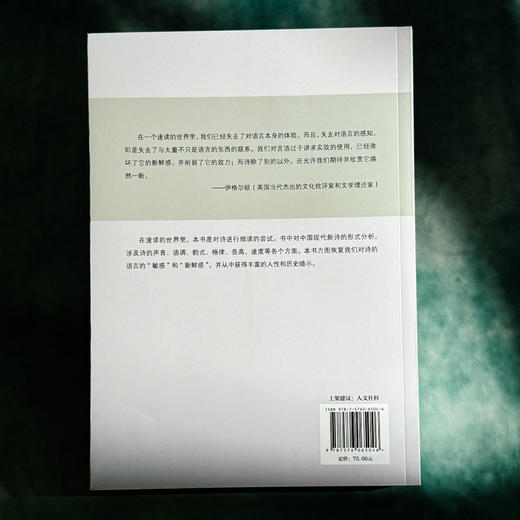 文体、翻译和新旧之争 中国新诗的现代性之路 大夏书系 陈太胜 商品图2