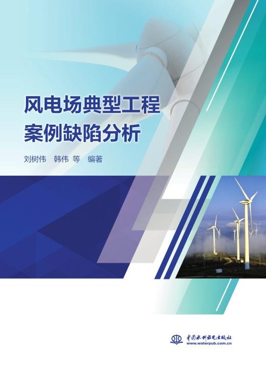 风电场典型工程案例缺陷分析 商品图0