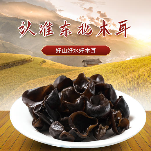 寒乡原 黑木耳 100g*2桶 商品图2