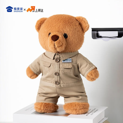 【实付满199送钥匙扣】【电网小熊】可定制创意毛绒职业小熊公仔儿童玩具服装可脱送礼礼物 商品图9