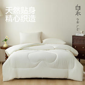 【白禾】A嘭嘭小棉朵冬被芯-中号