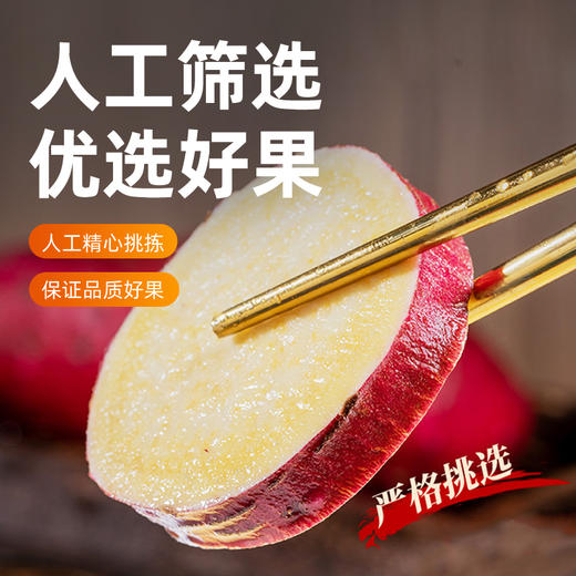 【京东快递】正宗榴莲蜜薯地瓜 山东当季新鲜番薯 以糖化香 甜软糯- BNXNY 商品图2