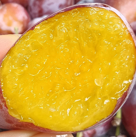 【空运智利西梅】粉滴滴的醇香蜜甜，果粉十足，可以越放越甜的S身神器！女神必入水果推荐系列 商品图5