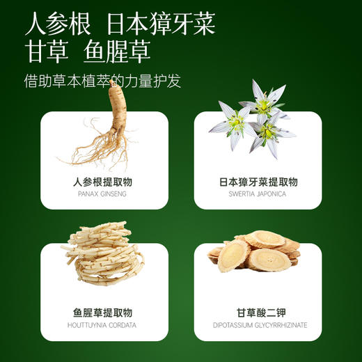 KANKIROU/柑气楼 柑橘丰润控油 洗发露 600g 4573252210733 商品图4