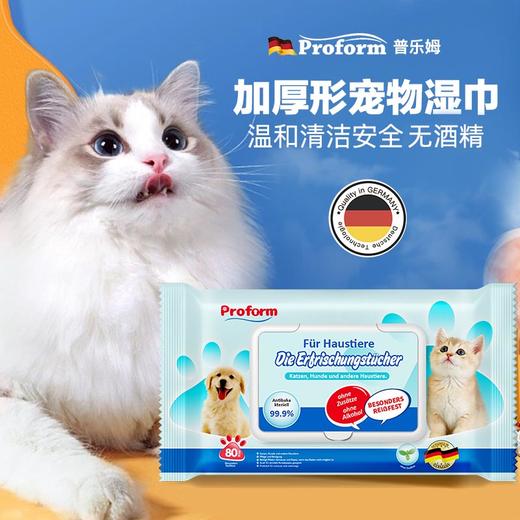 德国普乐姆宠物湿巾纸80抽 商品图0
