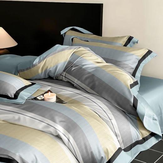 安竹堂纯棉40S斜纹四件套 200*230cm 商品图0