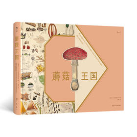 【复古艺术馆13】蘑菇王国