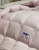 【堂皇】B7F 堂皇蔓羽暖立方羽绒冬被-粉灰220x240cm胎重1250g 商品缩略图5