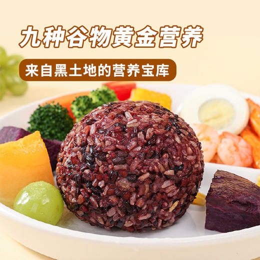 寒乡原 九色糙米 2.5kg/盒 商品图5