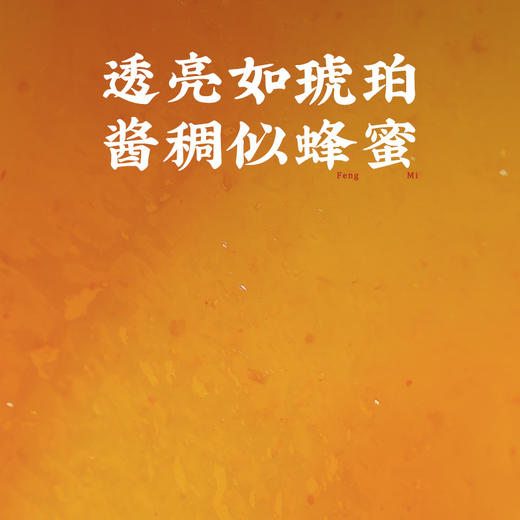 潮汕集锦南姜梅酱200g 商品图2