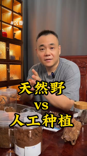 野的奇楠和人工种植的奇楠究竟有什么区别？