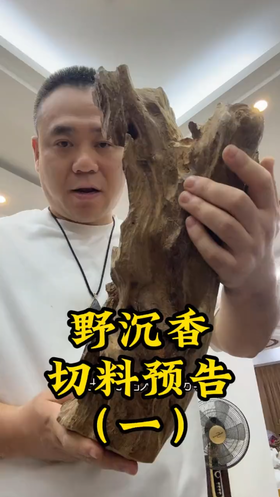 很压手的一块沉香原料准备开切。