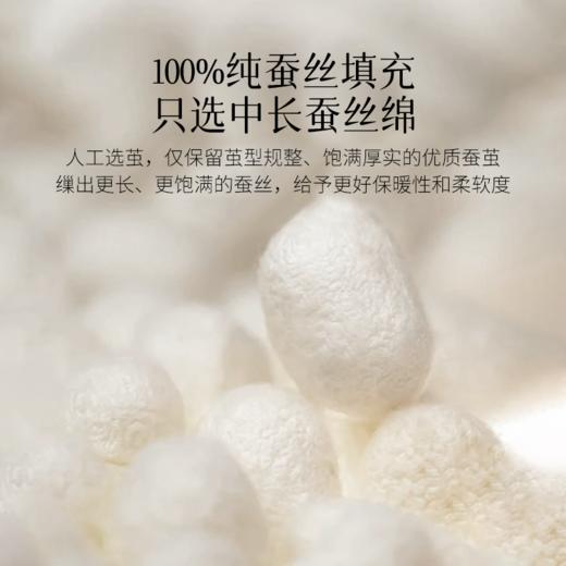 2025年秋冬新款雅芳婷蚕丝被100%桑蚕丝长丝冬被冬季保暖被子被芯 商品图1
