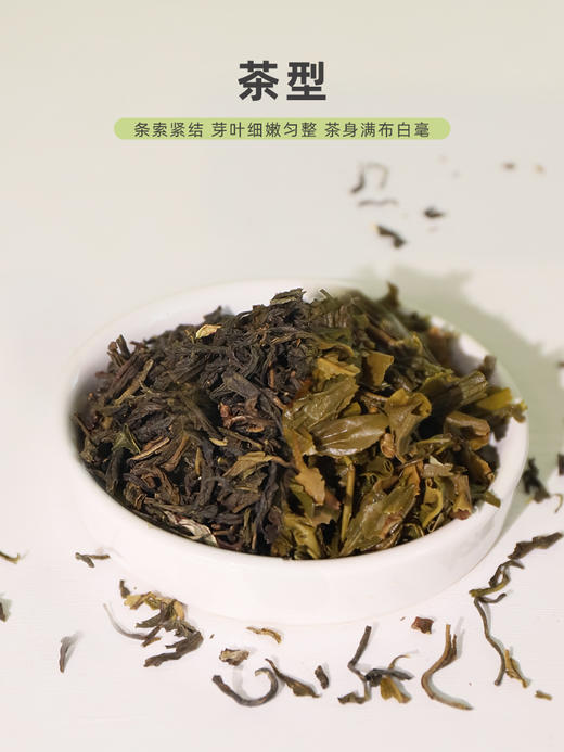 蜜香红茶&质利鸭屎香茶&雪芽茉莉茶 茶饮店专用500g/包 商品图3