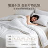 2025年秋冬新款雅芳婷全棉蚕丝冬被加厚保暖四季被冬季被子被芯 商品缩略图2