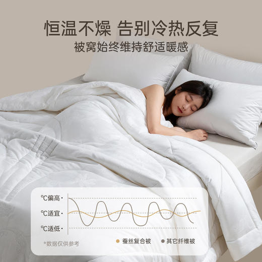 2025年秋冬新款雅芳婷全棉蚕丝冬被加厚保暖四季被冬季被子被芯 商品图2