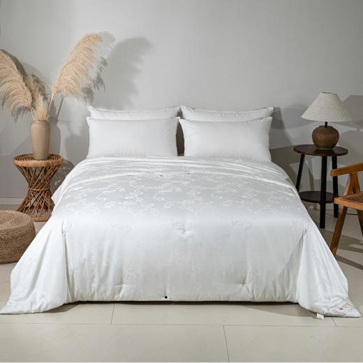 2025年秋冬新款雅芳婷蚕丝被100%桑蚕丝长丝冬被冬季保暖被子被芯 商品图5