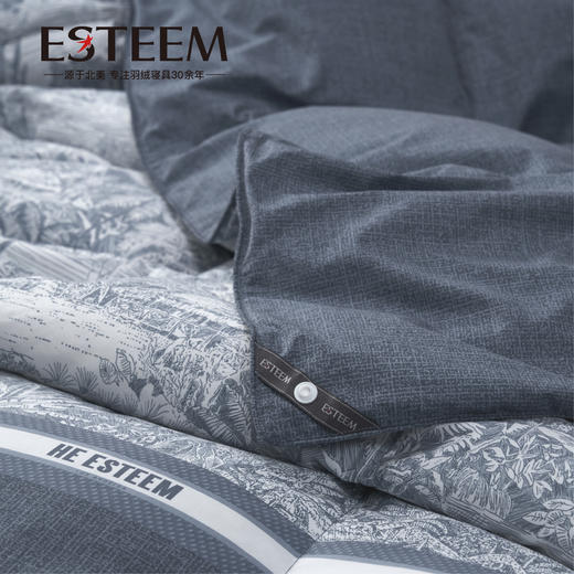 绘影拾光可水洗95鹅绒被两件套 商品图2