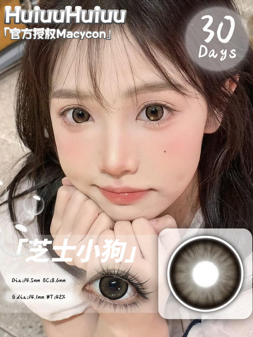 『月抛大直径』MACYCON-萌宠系列-可爱比熊/芝士小狗/萌萌贵宾 -14.5mm【月抛0-800度 无525/575】 商品图2