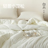 【白禾】A嘭嘭小棉朵冬被芯-中号 商品缩略图6