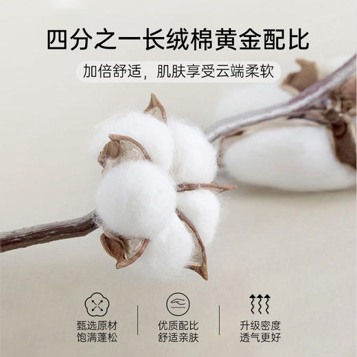 2025年新款雅芳婷100%全棉床上五件套床笠款纯棉被套被芯套件家纺 商品图1