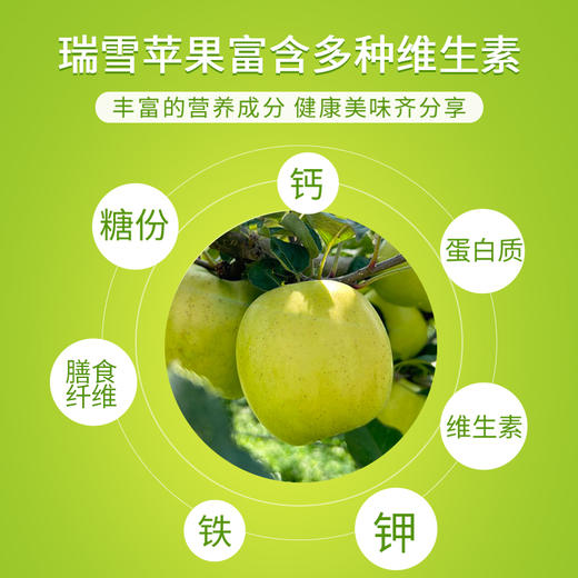 瑞雪苹果#香脆清甜汁水丰盈久放不粉，吃出玫瑰香的“国货之光”营养丰富 商品图2