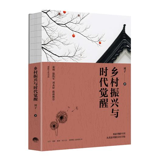 【官方正版】乡村振兴与时代觉醒 商品图2