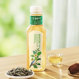 农夫山泉东方树叶0卡路里陈皮白茶500ml/瓶复合茶饮料
