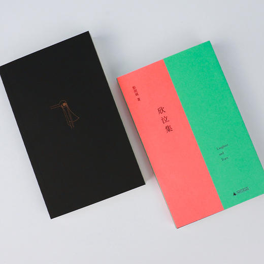 欣泣集 | 彭剑斌书写生命体验的青春之作，在漆黑的内心世界探寻、迷路，在绝望之巅照亮无边的虚无 商品图6