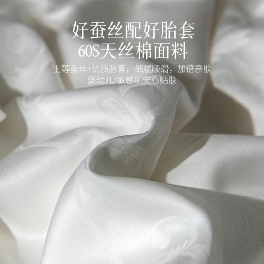 2025年秋冬新款雅芳婷蚕丝被100%桑蚕丝长丝冬被冬季保暖被子被芯 商品图4