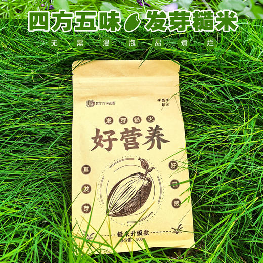 四方五味·发芽糙米 商品图4