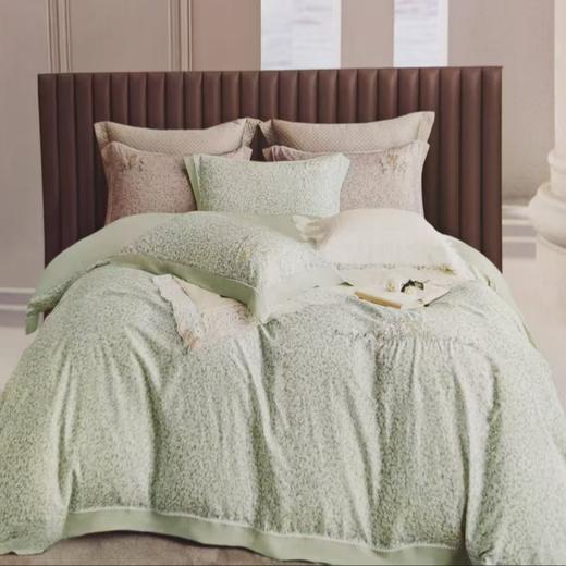 富友人家  天丝棉四件套 商品图0