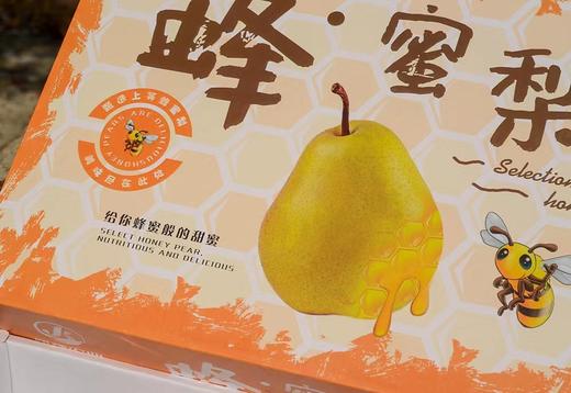 【会员26.5/2颗】山西隰县小蜜蜂蜂蜜梨 商品图1