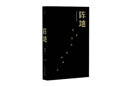 阵地 著/钱林森  王剑平   电视剧《阵地》同名小说 商品图2