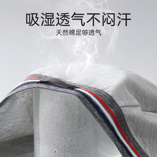 爱帝4条装男士内裤精梳棉明根抗菌平角裤 商品图3