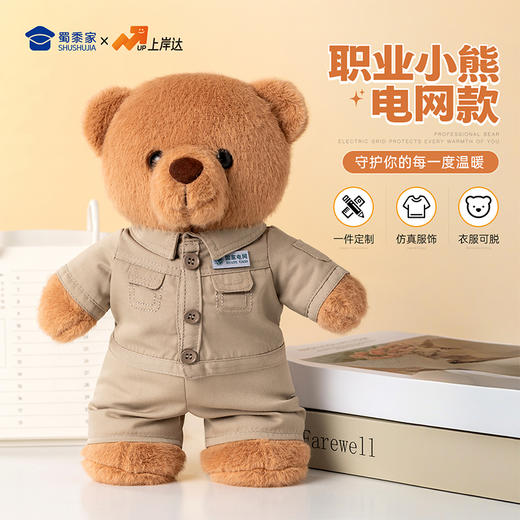 【实付满199送钥匙扣】【电网小熊】可定制创意毛绒职业小熊公仔儿童玩具服装可脱送礼礼物 商品图0