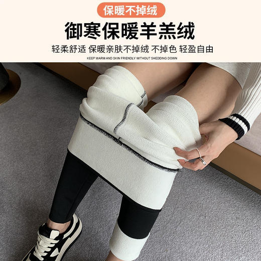 升级款秋冬羊羔绒鲨鱼裤 暖宫护腰外穿秋冬加厚加绒高腰打底裤女保暖显瘦腿瑜伽裤 商品图2