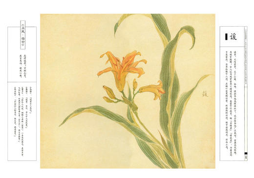 SZ3S79_凝夜紫色_连衣裙_春秋_翻领长袖单排扣腰带收腰A字中长款_高级女装_BERNIEELEN 伯妮斯茵 商品图10