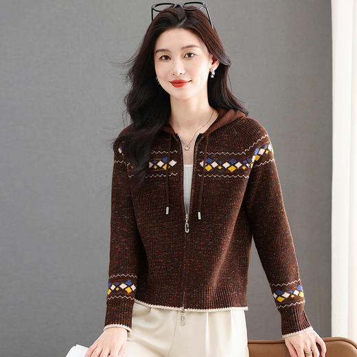 YD87972025秋冬新款连帽领长袖针织衫宽松休闲上衣外套毛衣开衫女 商品图2