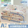 a类新款糯叽叽ins风双层纱水洗棉加厚冬被被子被芯 商品缩略图5