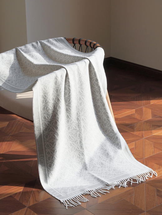 WJ11-罗意威 羊绒围巾（QZ*MM） 商品图2