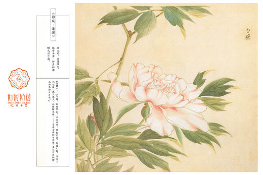 SZ3S82_朱柿色_连衣裙_春夏_圆领无袖收腰A字大摆长款彩色花卉_高级女装_BERNIEELEN 伯妮斯茵 商品图5