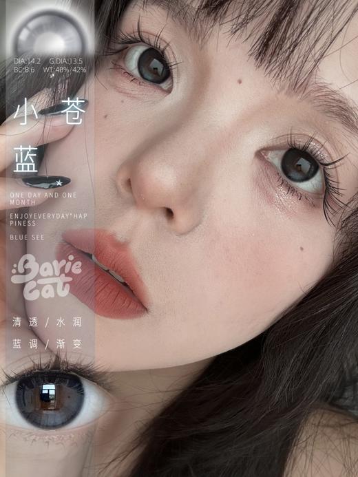 bariecat日抛 小苍蓝 14.2mm 日抛无售后！！有同款月抛 商品图1
