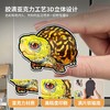 冰箱贴 龟主题⑧ 磁吸 Q版 卡通 箱龟题材 爬宠爬虫周边 super rep超爬正版【48小时发货】 商品缩略图2