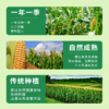 寒乡原 鲜食玉米 240g*8穗 商品缩略图3