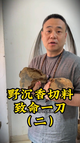 都蓬沉香切料，致命的一刀。 这块都蓬沉香的原料今天开切了