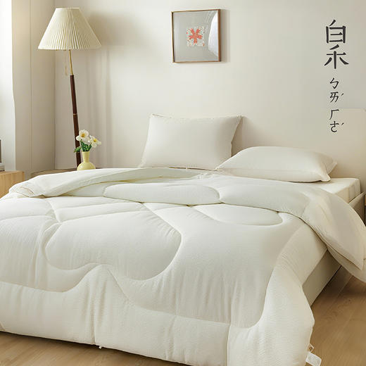 【白禾】A嘭嘭小棉朵冬被芯-中号 商品图5
