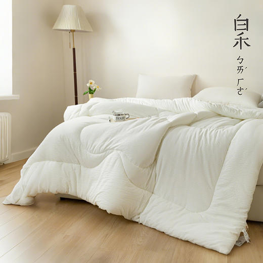 【白禾】A嘭嘭小棉朵冬被芯-中号 商品图4
