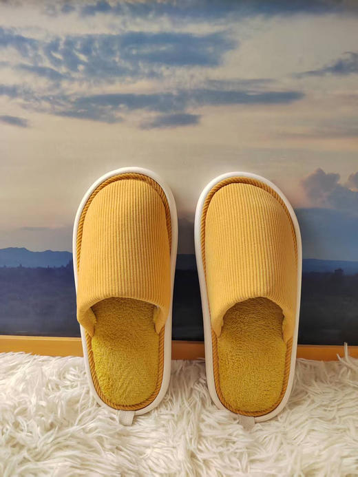 QQH 251101 防滑保暖拖鞋 商品图3